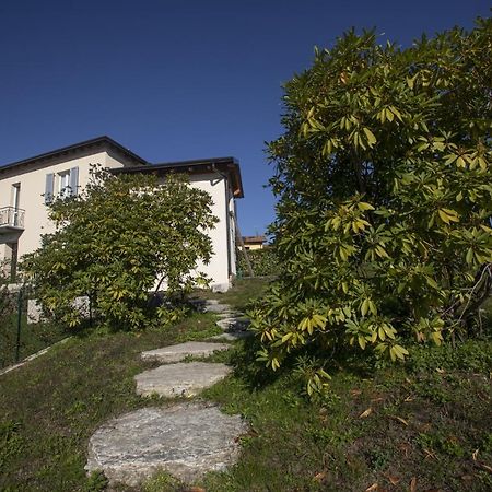 Villa Corbezzolo ルイーノ エクステリア 写真